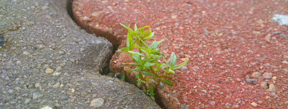 concrete.vs.concrete-920x350