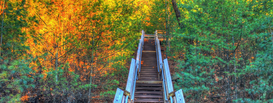 fall-staircase-920x350